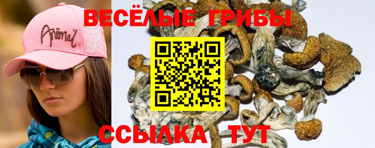 COCAIN  Альфа ПВП СОЛЬ кристаллы  Бошки Шишки  ГАШИШ  Купить наркотики  Медногорск  ГАШИШ  Меф   Вход с VPN 