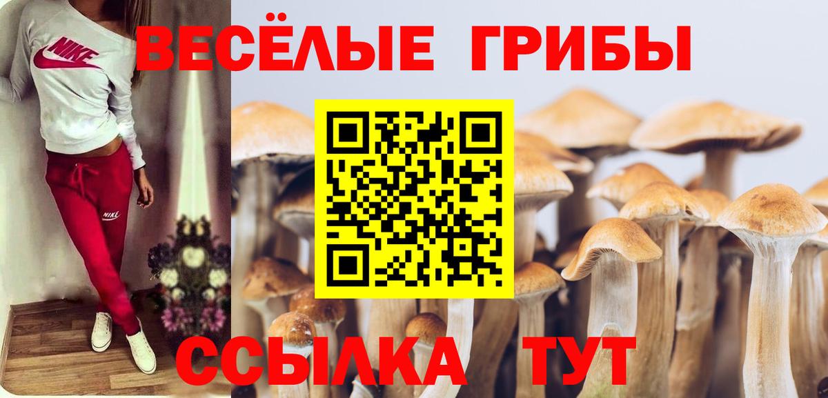 Галлюциногенные грибы GOLDEN TEACHER Медногорск