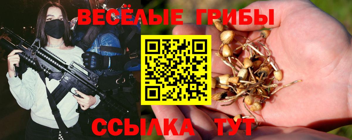 Псилоцибиновые грибы Psilocybine cubensis  Вход с VPN  Галлюциногенные грибы прущие грибы  закладки  Медногорск 